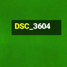DSC_3604