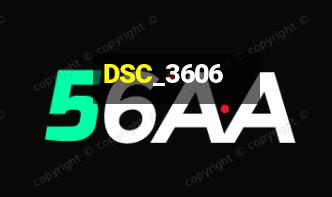 DSC_3606