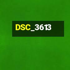 DSC_3613
