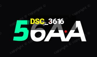 DSC_3616
