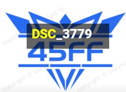 DSC_3779