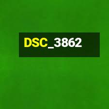 DSC_3862