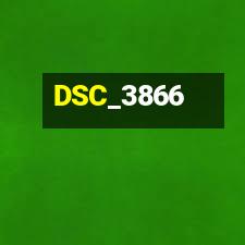 DSC_3866