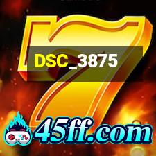 DSC_3875