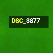 DSC_3877
